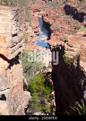 Pool am Murchison River in Z Bend, Kalbarri National Park, Western Australia. Stockfoto