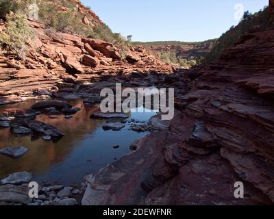 Pool am Murchison River in Z Bend, Kalbarri National Park, Western Australia. Stockfoto