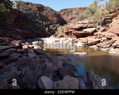 Pool am Murchison River in Z Bend, Kalbarri National Park, Western Australia. Stockfoto