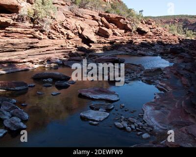 Pool am Murchison River in Z Bend, Kalbarri National Park, Western Australia. Stockfoto