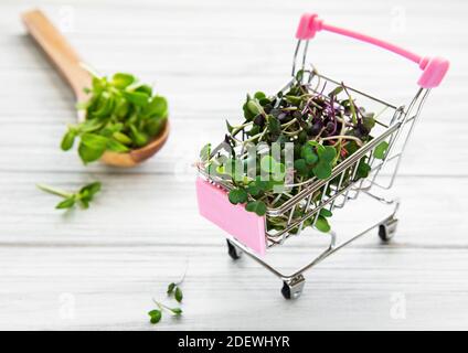 Micro Greens im Warenkorb auf Holzhintergrund. Verschiedene Arten von Microgreens zum Verkauf. Gesunde Ernährung Konzept Stockfoto