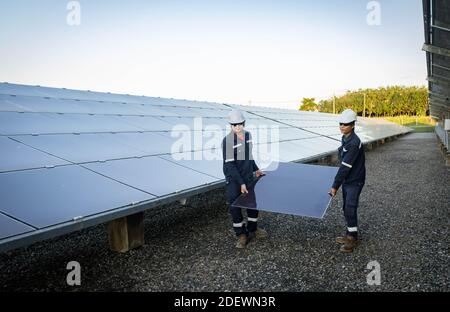 Techniker hebt die Solarzelle, um die beschädigte zu ersetzen, Alternative Energie, um die Energie der Welt zu sparen, Photovoltaikmodul Idee für sauber Stockfoto