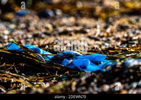 Benutzte Gummihandschuhe am Strand, Zeichen der Verschmutzung durch die Corona-Virus-Pandemie. Stockfoto