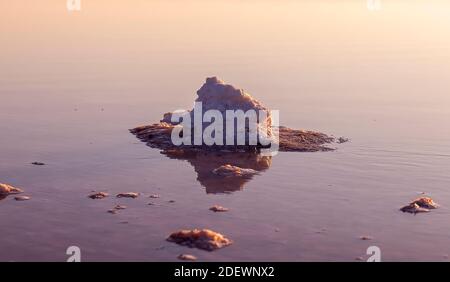 Ein großes Stück Salzkristall im rosa See. Torrevieja, Spanien. Stockfoto