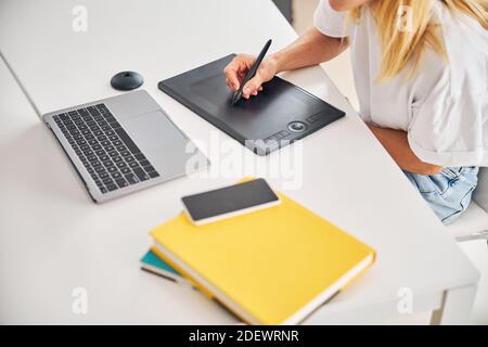 Malerin mit ihrem Digitalisierpad am Arbeitsplatz Stockfoto