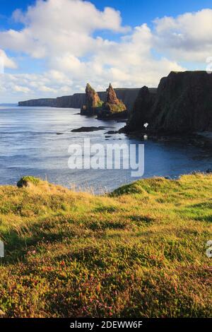 Geographie / Reisen, Großbritannien, Schottland, Ostküste, zusätzliche-Rights-Clearance-Info-Not-available Stockfoto