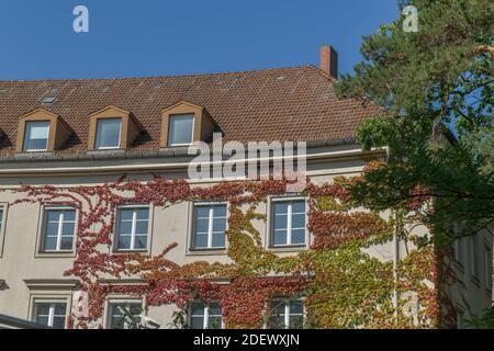 Umweltbundesamt, Bismarckplatz, Grunewald, Charlottenburg-Wilmersdorf, Berlin, Deutschland Stockfoto