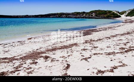 Weißer Sand und Algen, Dynamite Bay, Green Head Stockfoto