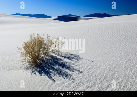 Geographie / Reisen, USA, Sandsteindünen, White Sands National Monument, New Mexico, Nordamerika, Additional-Rights-Clearance-Info-not-available Stockfoto