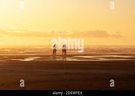 AUCKLAND, NEUSEELAND - 28. Jan 2020: Auckland / Neuseeland - 27 2020. Januar: Blick auf den dunstigen North Piha Strand im Abendlicht mit einer Gruppe junger Peop Stockfoto