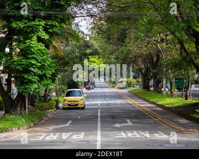 MEDELLIN, KOLUMBIEN - 19. Nov 2020: Medellin, Antioquia / Kolumbien - 19 2020. November: Ruhige Straße mit wenigen Autos und vielen hohen Bäumen Stockfoto