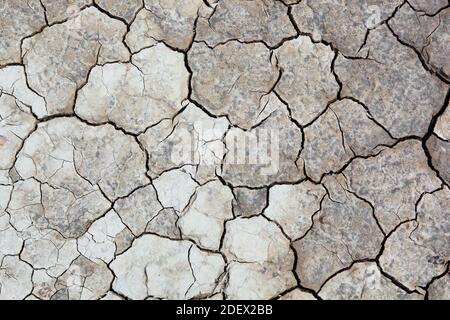 Geographie / Reisen, Schweiz, Boden des ausgetrockneten Sees, Zusatz-Rights-Clearance-Info-Not-available Stockfoto