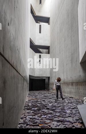 Installation Schalechet (Gefallenes Laub) von Menashe Kadishman, Jüdisches Museum, Lindenstraße, Kreuzberg, Friedrichshain-Kreuzberg, Berlin, Deutschl Stockfoto