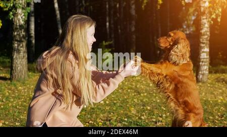 Langhaarige Blondine spielt mit flauschigen Spaniel auf der Rückseite hell Herbstsonne Stockfoto