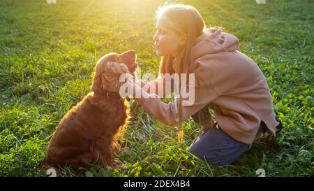 Fair haired Mädchen in Hoodie und Jeans spielt mit pelzigen spaniel sitzt auf grünen Wiese Gras auf der Rückseite hellen Herbst Sonnenlicht Stockfoto