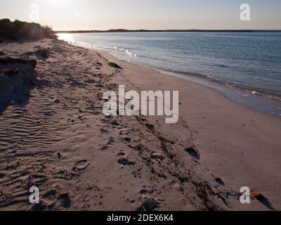 Blick nach Osten entlang des Strandes von Hansen Bay von Thirsty Point, Cervantes, Western Australia. Stockfoto