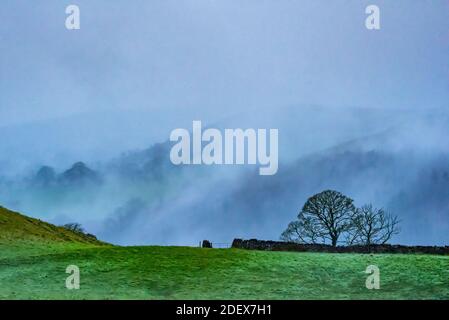 Clitheroe, Lancashire, Großbritannien. Dezember 2020. Ein düsterer und nebliger Morgen, Whitewell, Clitheroe, Lancashire. Kredit: John Eveson/Alamy Live Nachrichten Stockfoto