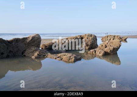 Versteinerte Korallen bei Ogmore-by-Sea, Wales Stockfoto