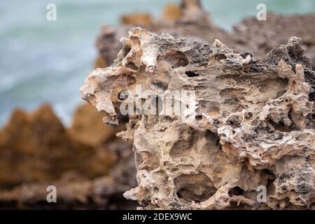 Eine Nahaufnahme der Felsen mit starker Erosion bei Stony Point befindet sich in Robe South Australia am 11. November 2020 Stockfoto