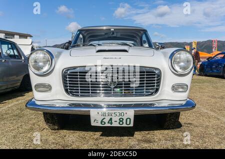 Frontansicht des Kühlergrills eines weißen 1958-Drittel Serie Lancia Appia Coupe Cabriolet draußen bei Sonnenschein Stockfoto