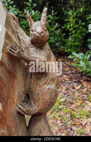 Holzschnitzerei eines roten Eichhörnchens auf dem Gelände des Osborne House, East Cowes, Isle of Wight Stockfoto