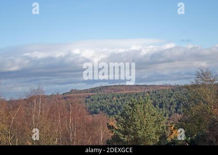 Fernansicht von Bäumen und Wolken aus Fives Gebiet von Cannock Chase, Staffordshire, England, Großbritannien Stockfoto