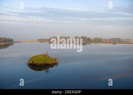 Kleine weiße Vögel ruhen auf der stillen Wasseroberfläche bei den Rotmires-Stauseen. Staumauer umkreist das Wasser, und eine ungewöhnliche Insel ist der Vordergrund. Stockfoto