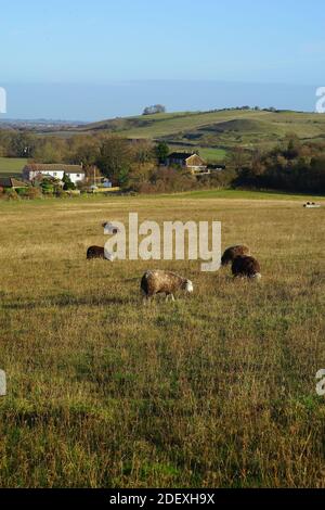 Blick über Pegsdon Dorf und die Knocking Hoe Natur Reservieren Stockfoto