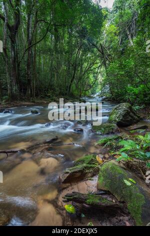 Viele natürliche grüne Steine in der Mitte der Wasser aus schönen Wasserfall erfrischend für Regenwald Ökotourismus Stockfoto