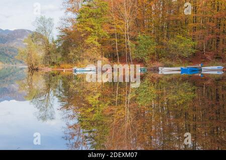 Eine schöne Reflexion an einem Herbsttag am Bohinjer See, Slowenien. Stockfoto