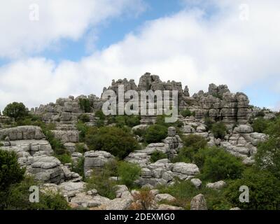 Prähistorische Landschaft mit Felsen und Bäumen in El Torcal de Antequera, Andalusien, Spanien Stockfoto
