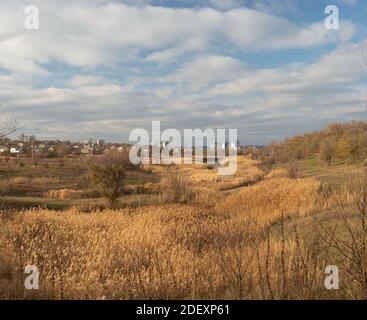 Landschaft auf dem Land, Schilf. In der Ferne, Wohndorf dachas, vor dem Hintergrund der mehrstöckigen Gebäuden, Ukraine. Stockfoto