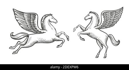 Skizze des geflügelten Pferdes. Pegasus Vintage Symbol Vektor Illustration Stock Vektor