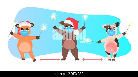 Oxes in santa Hüte halten Wunderkerzen Kühe in Masken halten Soziale Distanz, um Coronavirus Pandemie Neujahr Winterferien zu verhindern Celebration Konzept volle Länge horizontale Vektor-Illustration Stock Vektor