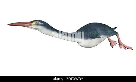 Hesperornis prähistorischer Vogel - 3D Render Stockfoto