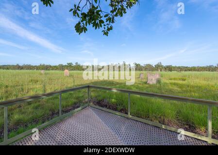 Magnetic Termite Mounds im Litchfield National Park im Northern Territory von Australien. Stockfoto