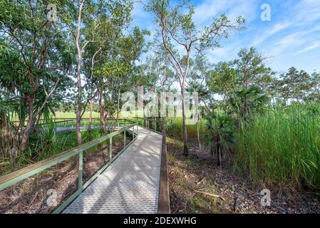 Litchfield National Park, Darwin, Australien - die Aussichtsplattform, um die magnetischen Termitenhügel im Litchfield National Park, Northern Territory, zu sehen Stockfoto