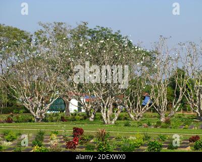 Der Taukkyan Friedhof in Bago Stadt, Myanmar Stockfoto