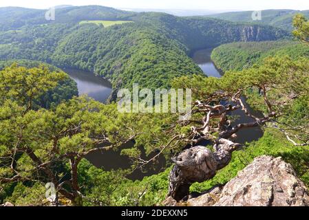 Maj Aussichtspunkt an der Moldau Stockfoto