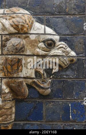 ISTANBUL, TÜRKEI - 22. März 2015: Istanbul, Türkei - 22. März 2015 : ein altes Löwenrelief in den Archäologischen Museen von Istanbul. Stockfoto