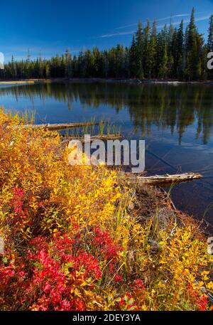 Heavenly Twin Lakes, Sky Lakes Wilderness, Winema National Forest, Oregon Stockfoto