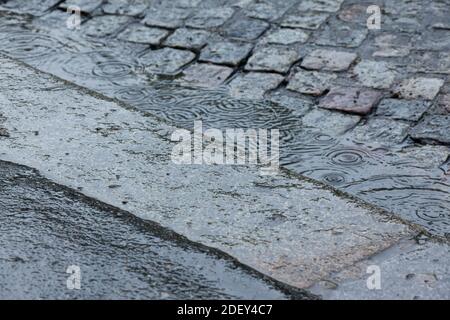 Regentropfen in Puddle an der gepflasterten Steinstraße, Paris, Ile-de-France, Frankreich Stockfoto