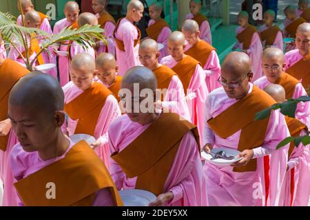 Nonnen aufgereiht Haltebleche Queuing für Lebensmittel bei Thetkya Thidar Nonnenkloster, Sakyadhita Thilashin Nonnenkloster Schule, Sagaing, Myanmar (Burma), Asien Stockfoto