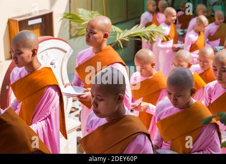 Nonnen aufgereiht Haltebleche Queuing für Lebensmittel bei Thetkya Thidar Nonnenkloster, Sakyadhita Thilashin Nonnenkloster Schule, Sagaing, Myanmar (Burma), Asien Stockfoto