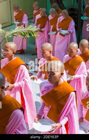 Nonnen aufgereiht Haltebleche Queuing für Lebensmittel bei Thetkya Thidar Nonnenkloster, Sakyadhita Thilashin Nonnenkloster Schule, Sagaing, Myanmar (Burma), Asien Stockfoto