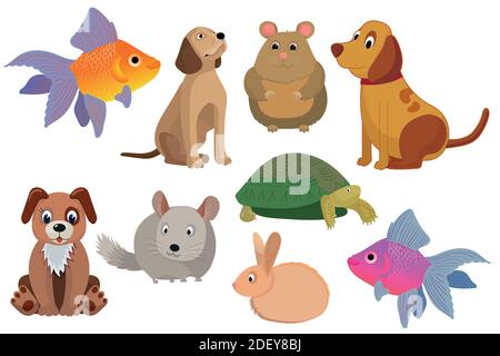 vektor-Set von Haustieren. Stock Vektor