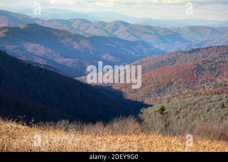 Herbstfarben in der Shining Rock Wilderness der Blue Ridge Mountains. Stockfoto