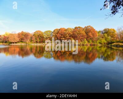 Herbstbäume säumen den Seeufer in wunderschönen Herbstfarben Orange, Gelb, Rot, Braun und Grün spiegeln sich an einem wunderschönen Spätherbst-Tag im Park im Wasser wider Stockfoto