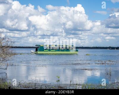 Bootstour in Upper Myakka Lake in Myakka River State Park in Sarasota Florida in den Vereinigten Staaten Stockfoto