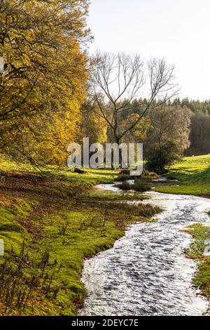 Herbst in den Cotswolds - Abendlicht auf dem Hilcot Brook in Hilcot, Gloucestershire UK Stockfoto